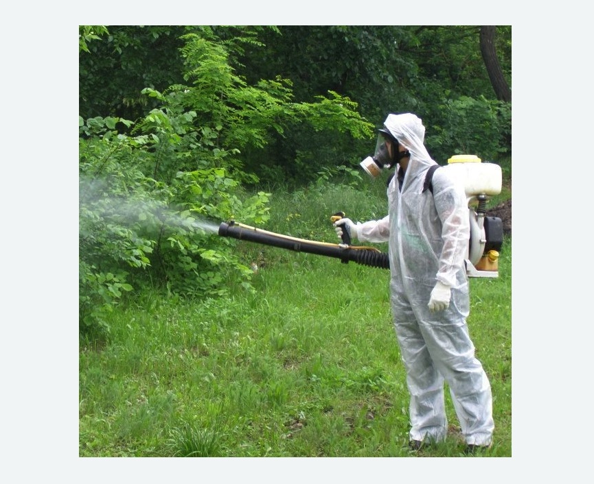 обработка территории от клещей в Камешково