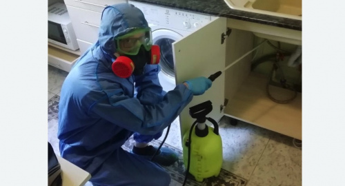 Уничтожение муравьев в квартире. Камешково