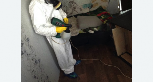 Обработка квартир от насекомых в Камешково