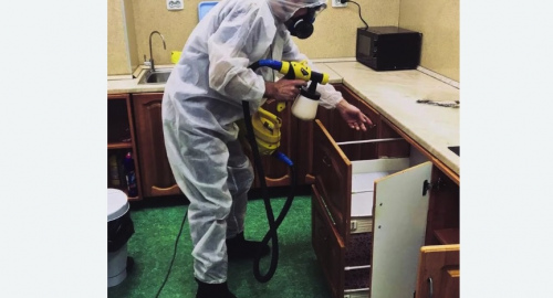 Дезинсекция квартиры. Камешково