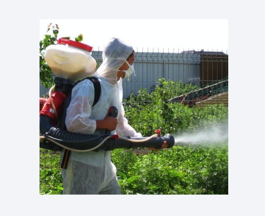 Акарицидная обработка территории в Камешково