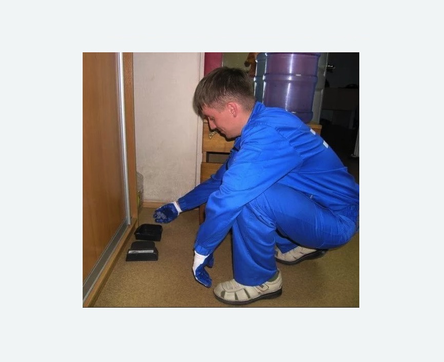 Дератизация крыс Дератизация крыс в Камешково