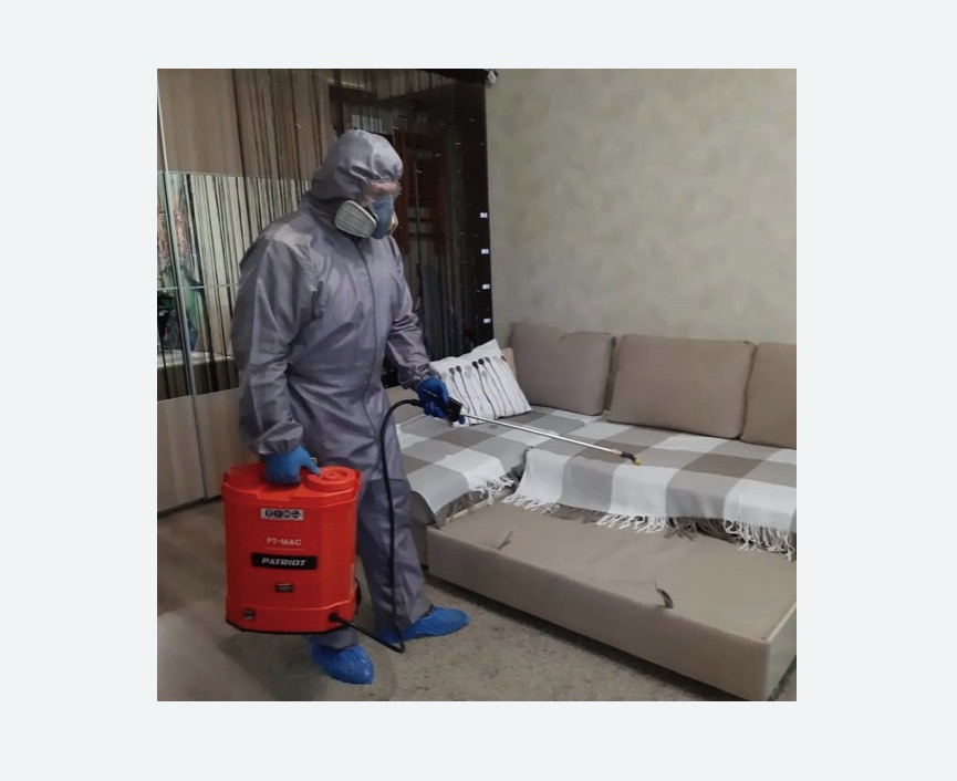 Обработка квартиры от блох в Камешково Обработка квартиры от блох