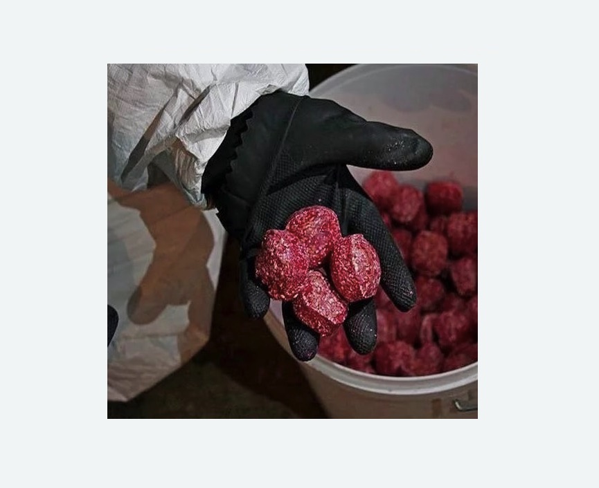 Обработка от крыс Обработка от крыс в Камешково