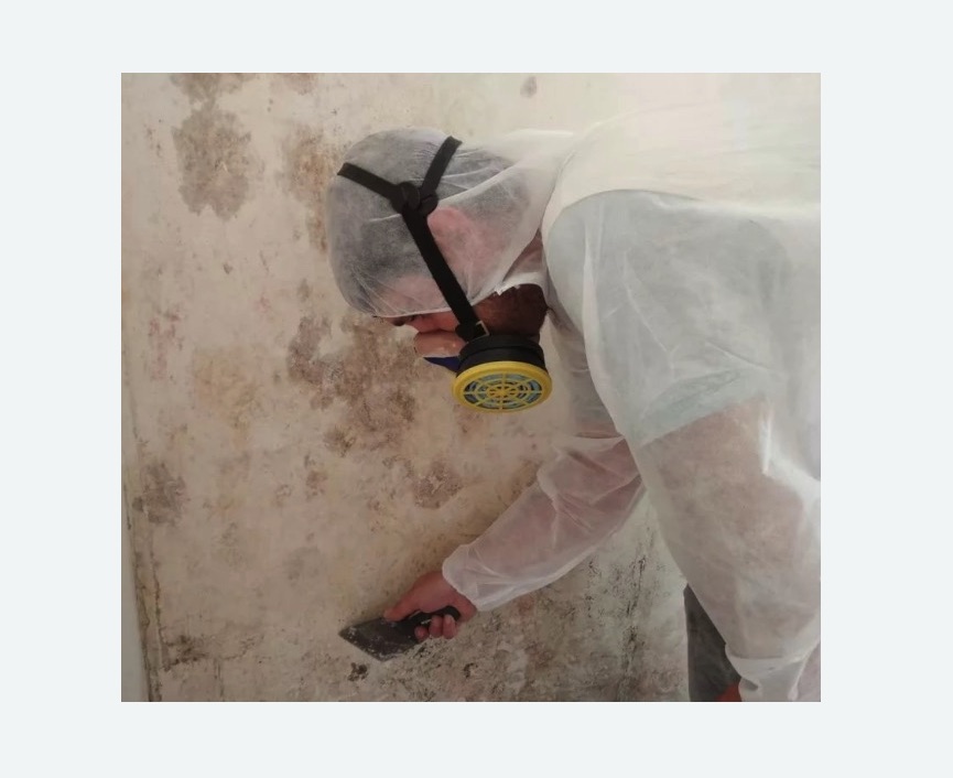 Обработка стен от плесени в Камешково