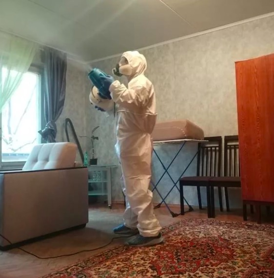 дезинсекция квартиры в Камешково