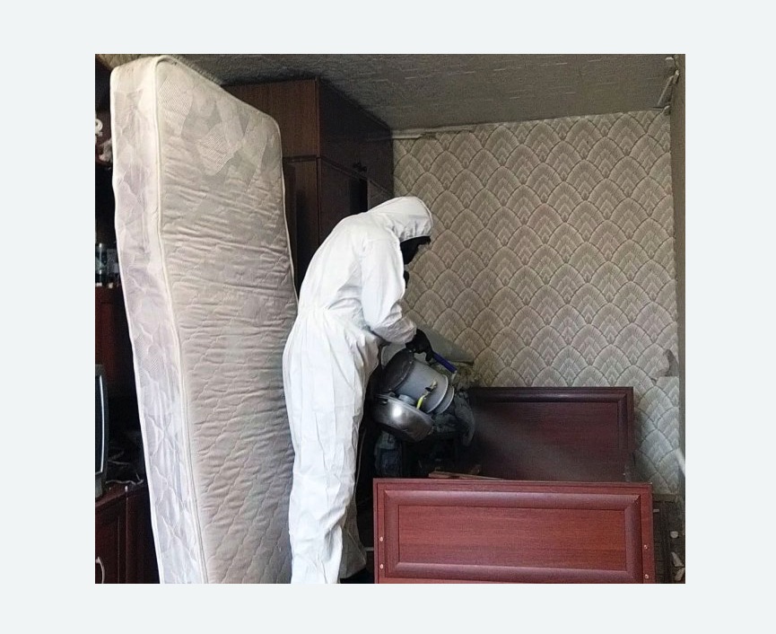 дезинфекция от клопов в Камешково