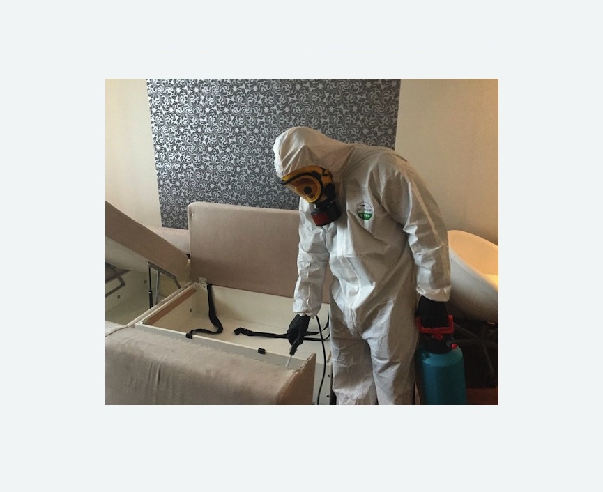 уничтожение клопов в квартире в Камешково