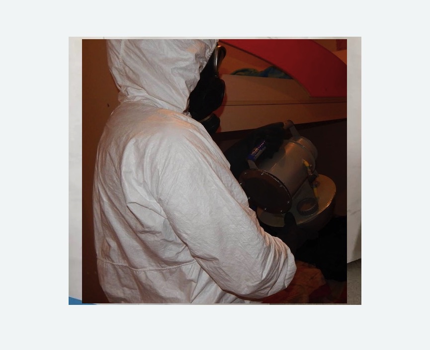 Дезинфекция от муравьев Дезинфекция от муравьев в Камешково