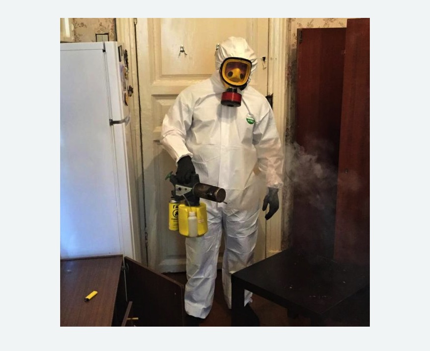 уничтожение муравьев в квартире уничтожение муравьев в квартире в Камешково